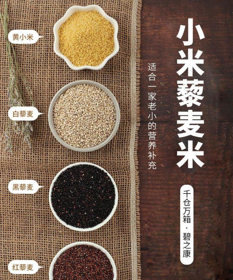 小米藜麦米盐碱地米油厚营养丰富