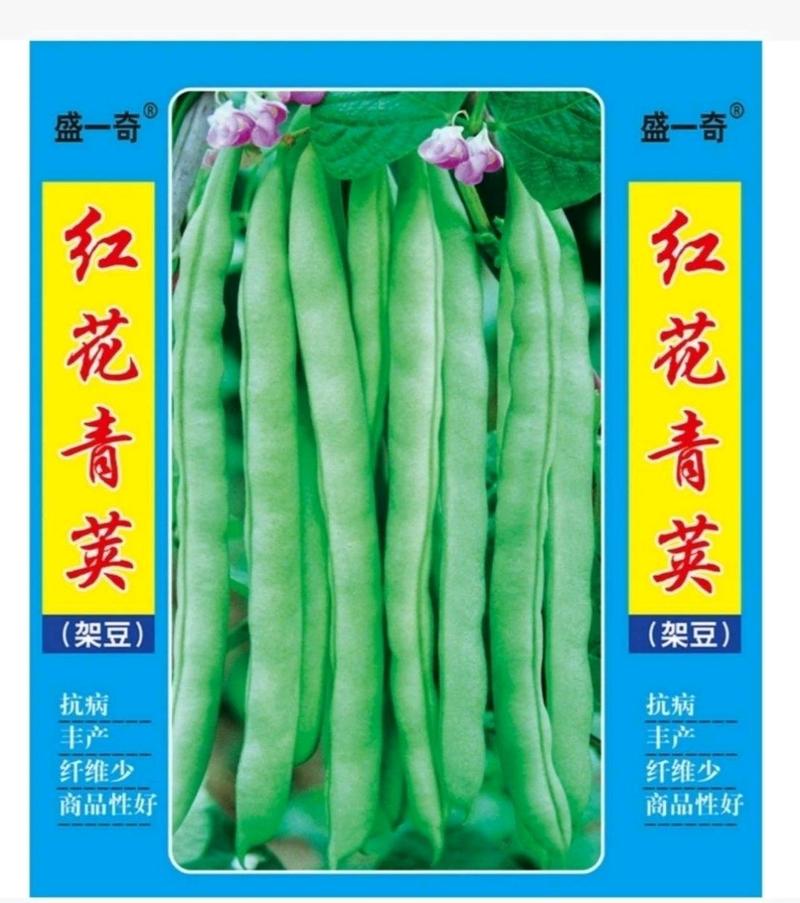红花青荚四季豆种子架豆种子菜种子种籽蔬菜种子