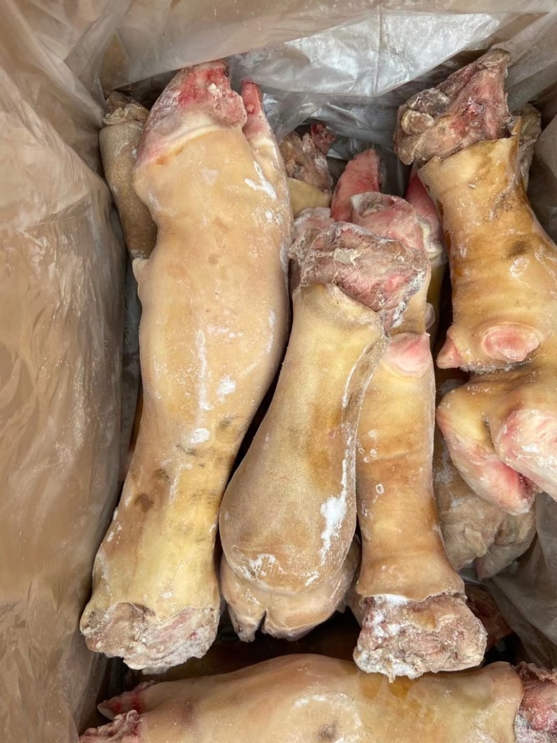火烧毛牛蹄大公牛带骨牛蹄干净无毛欢迎前来订购
