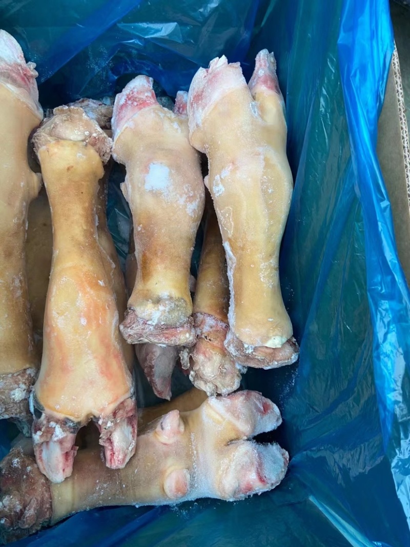 火烧毛牛蹄大公牛带骨牛蹄干净无毛欢迎前来订购