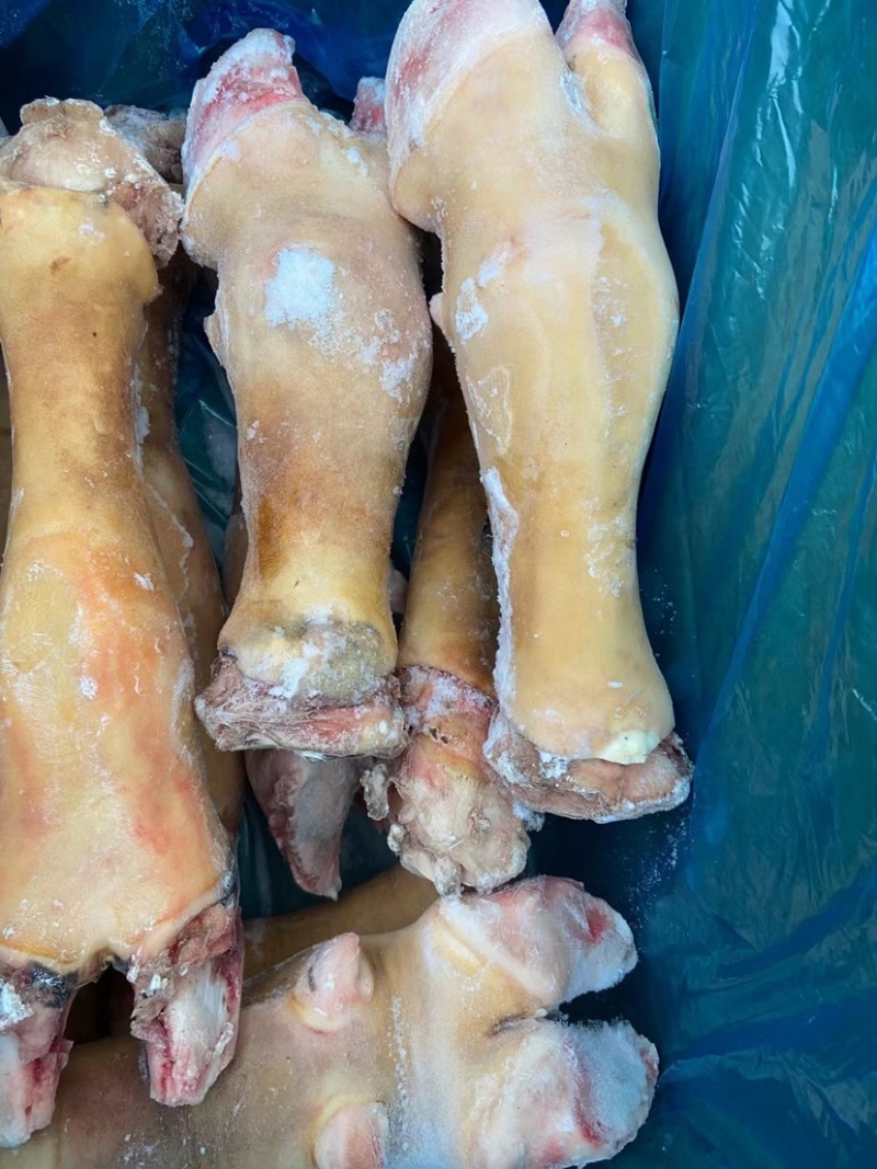 火烧毛牛蹄大公牛带骨牛蹄干净无毛欢迎前来订购