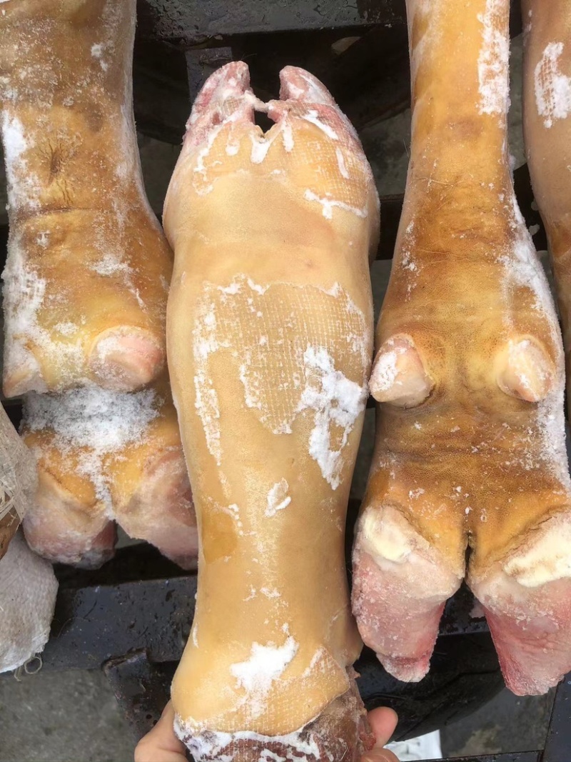 火烧毛牛蹄大公牛带骨牛蹄干净无毛欢迎前来订购