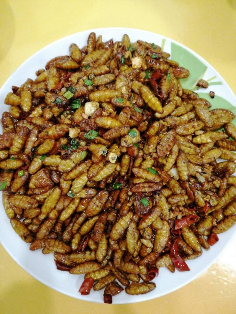 蚕蛹、桑蚕厂家直销，新蚕蛹