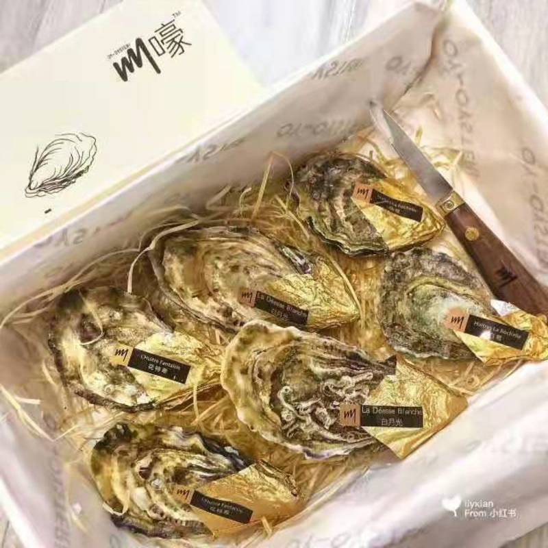 【精品礼盒装】乳山二/三倍体生蚝牡蛎送红酒