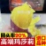 日本进口红薯玛莎莉黄金蜜薯高端！！！！！！！