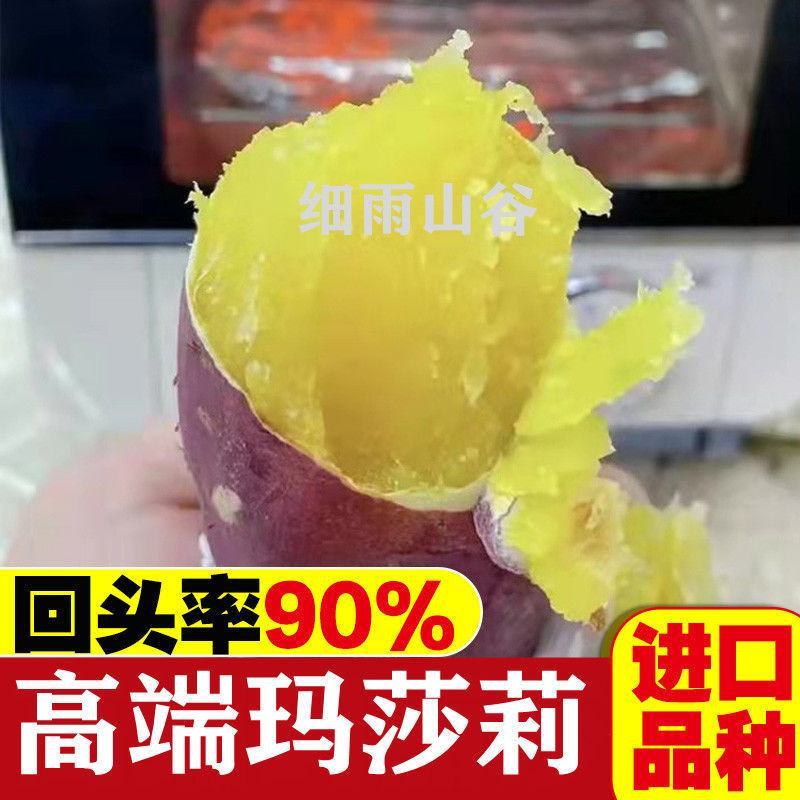 日本进口红薯玛莎莉黄金蜜薯高端！！！！！！！