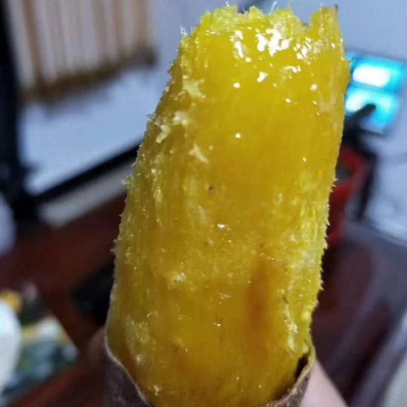 日本进口红薯玛莎莉黄金蜜薯高端！！！！！！！