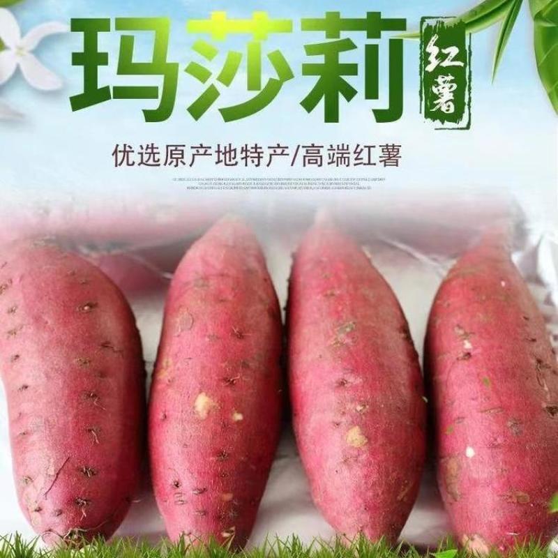 日本进口红薯玛莎莉黄金蜜薯高端！！！！！！！