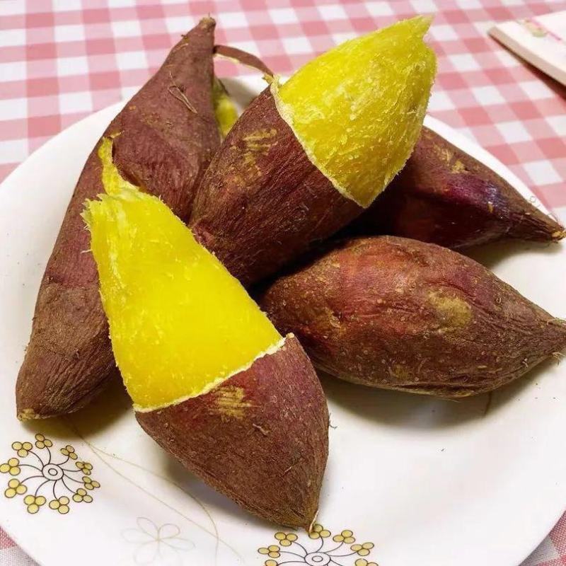 日本进口红薯玛莎莉黄金蜜薯高端！！！！！！！
