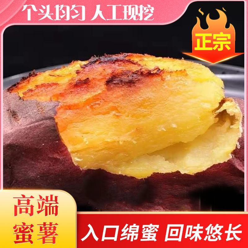 日本进口红薯玛莎莉黄金蜜薯高端！！！！！！！