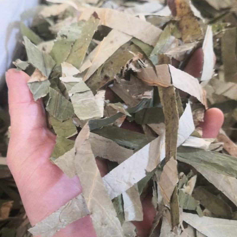 荷叶药用荷叶干货不满意可退换货农副产品