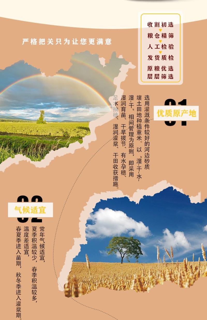 薏米