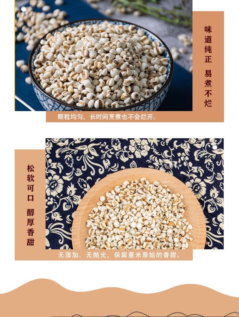 薏米