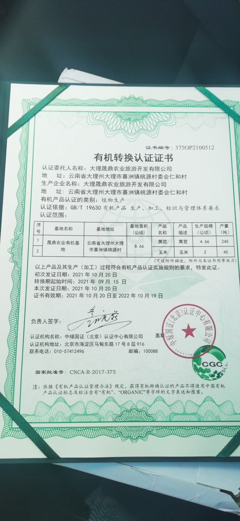云南大理莴笋，有机菜，杆子绿，粗度均匀，支持全国发货！