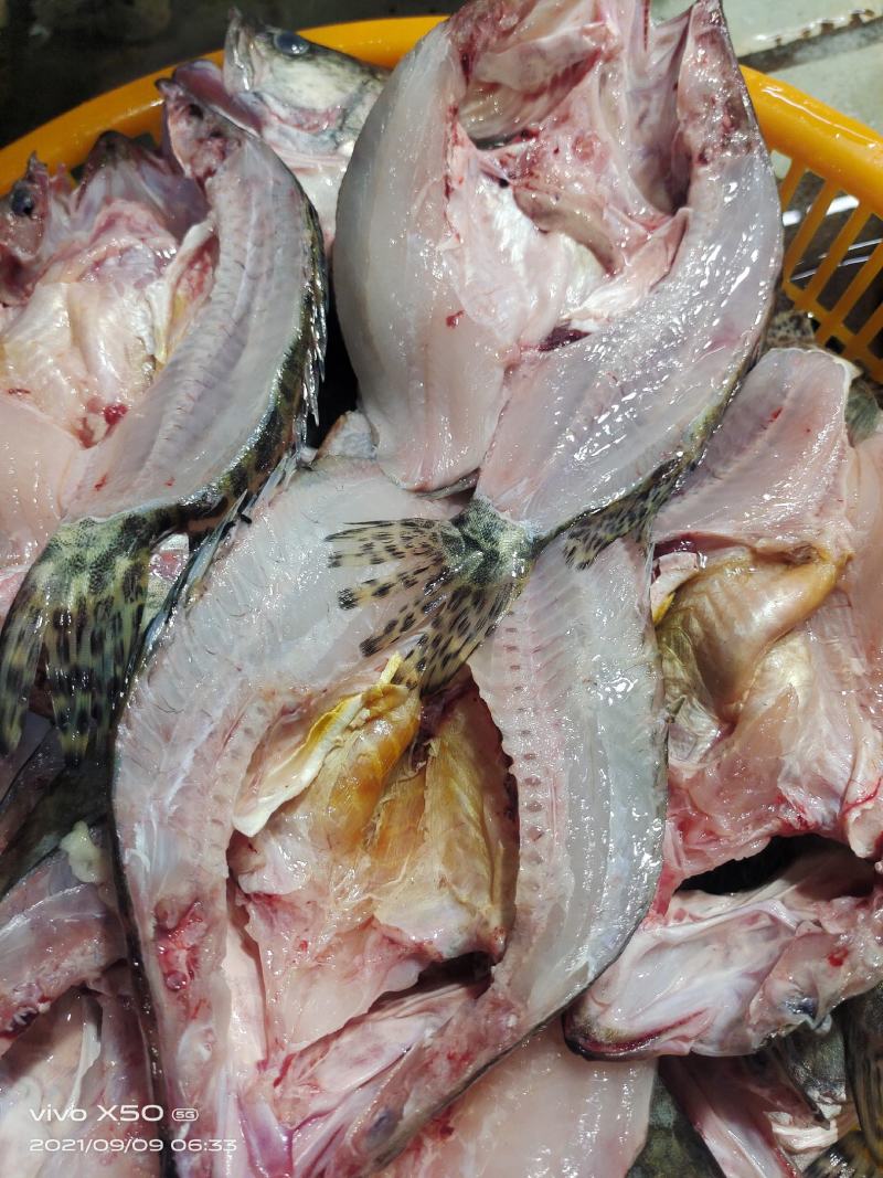 鳜鱼：0.4—2斤可以提供湘菜的技术上指导和腌制方