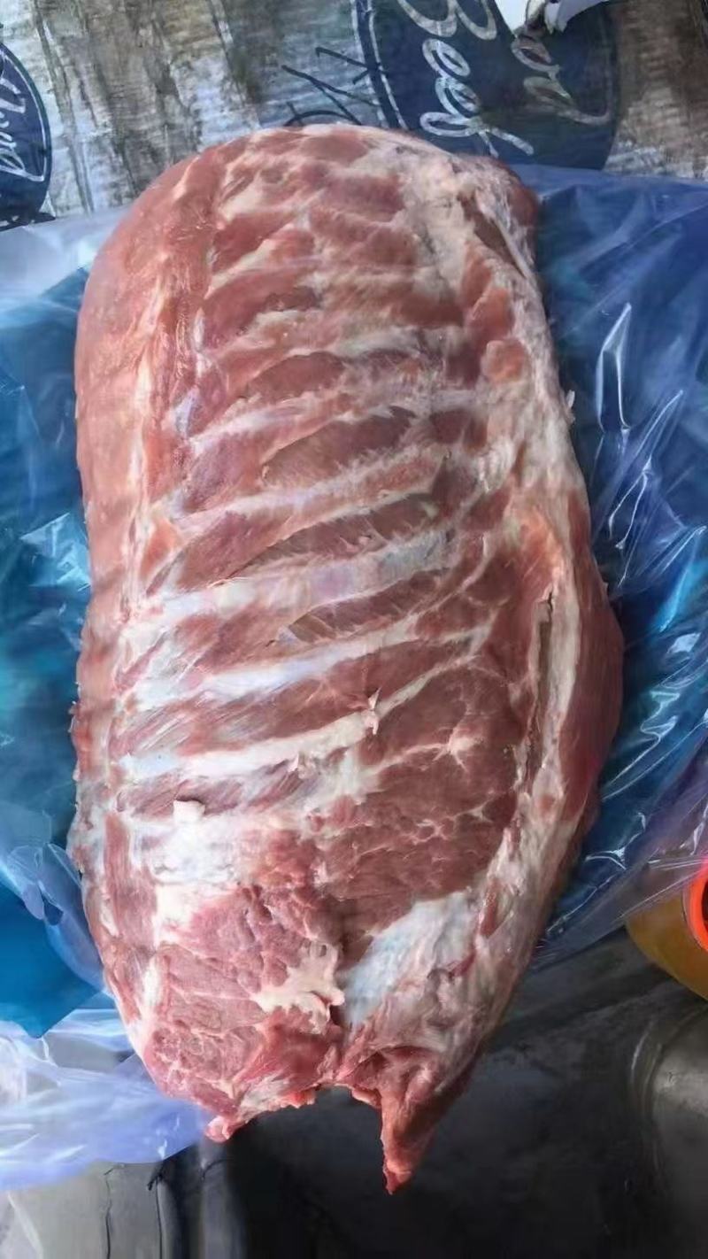 鲜精排工厂直销