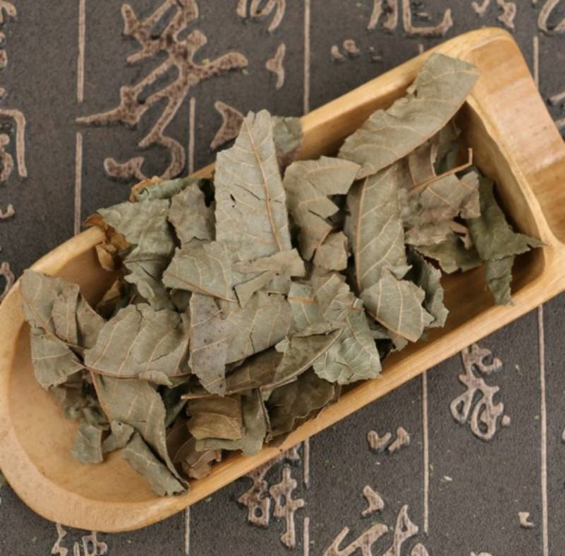 青钱柳统装500g产地云南振兴药材购销站量大从优