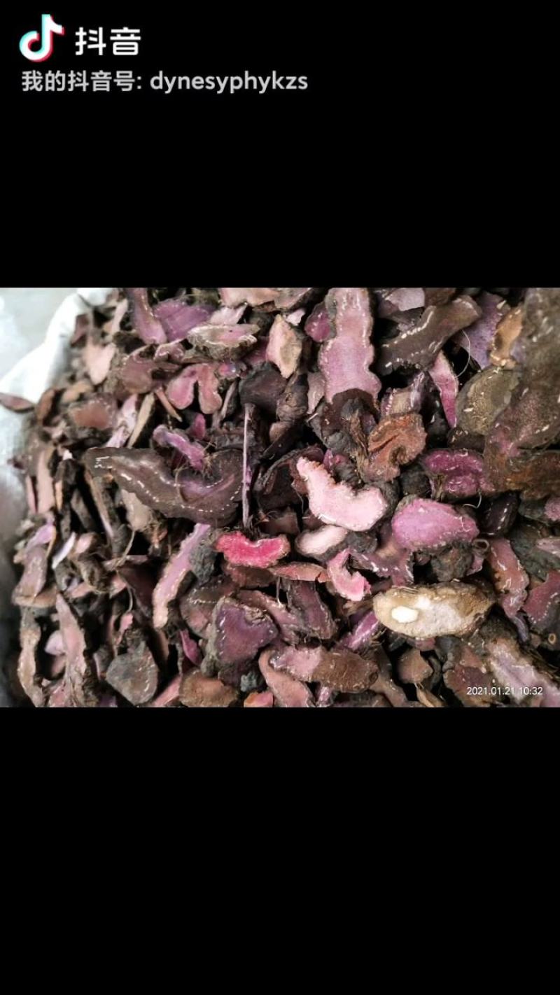 拳参草河车草血竭盘龙七质量保证