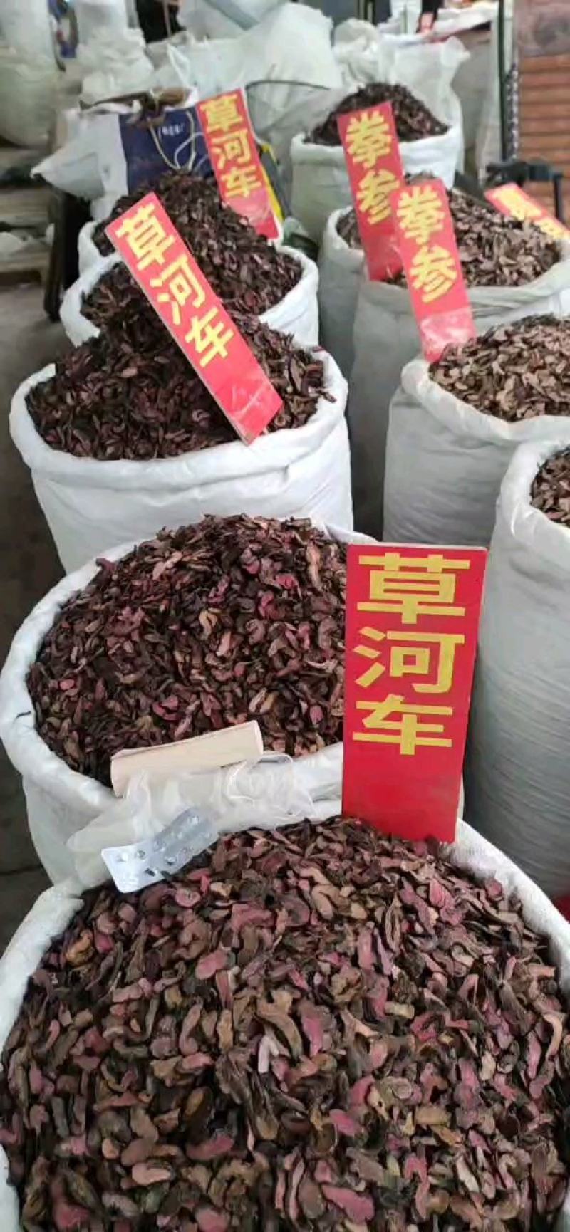 拳参草河车草血竭盘龙七质量保证