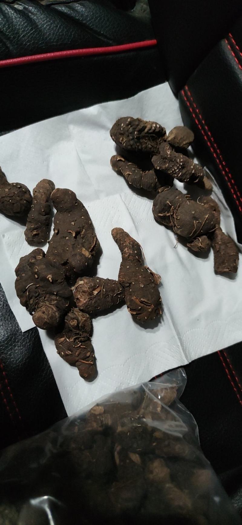 拳参草河车草血竭盘龙七质量保证