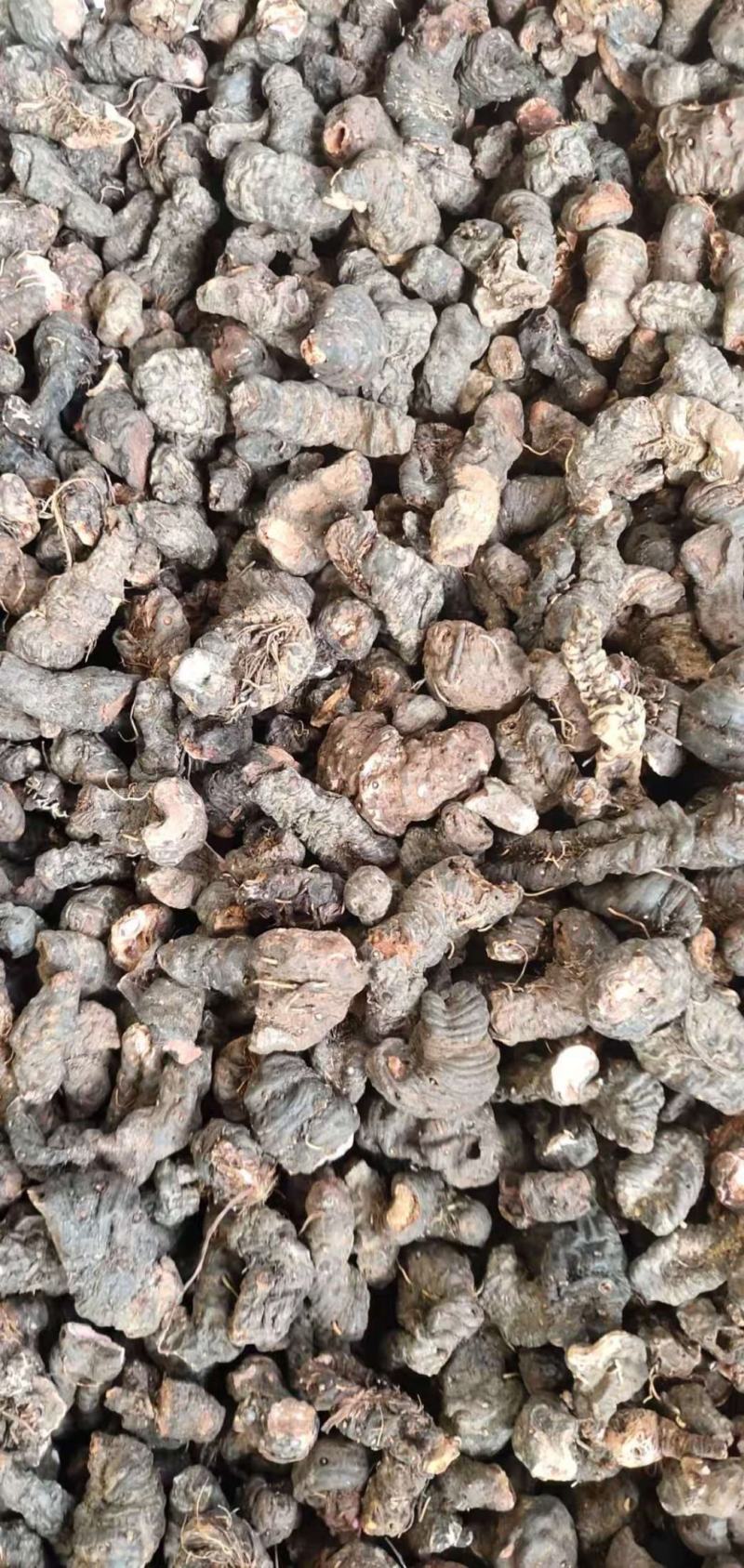 拳参草河车草血竭盘龙七质量保证