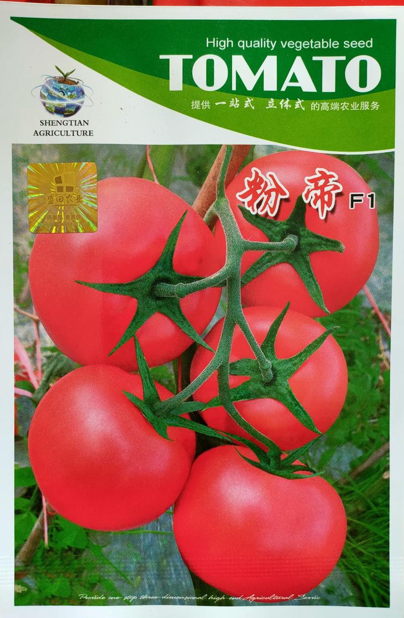 优质粉红色番茄种子粉果番茄种子粉果西红柿种子硬度好