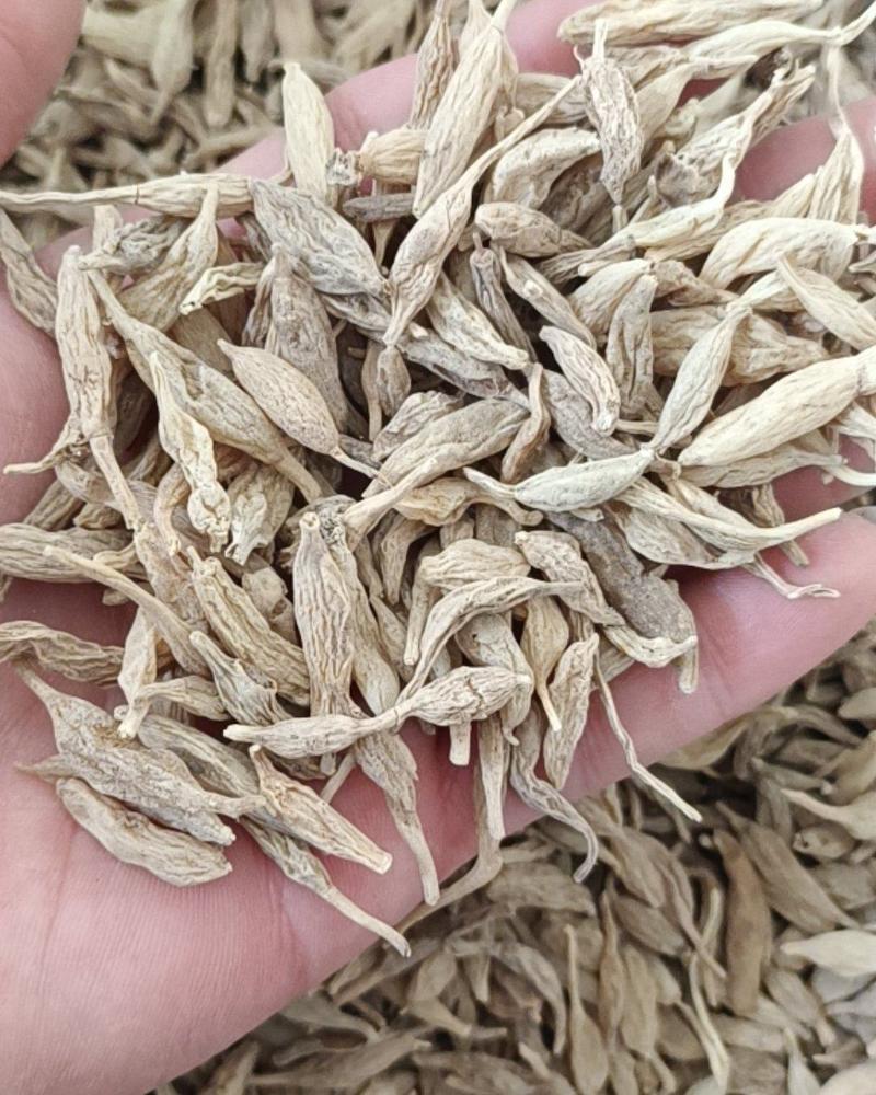 神农架野生麦冬干货药味十足保证质量欢迎批发选购500克