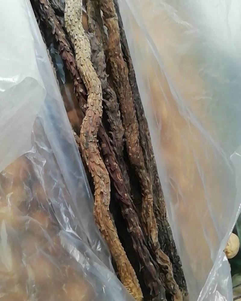 新疆纯野生～软质～肉苁蓉，长35厘米左右，一斤起发货
