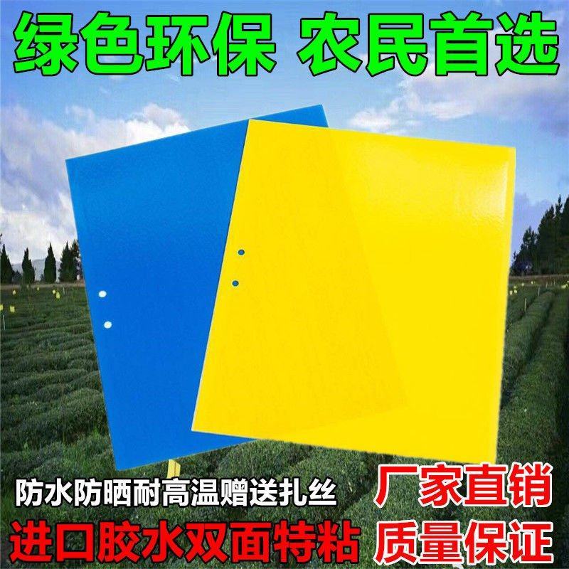 包邮双面特黏粘虫板、诱虫板、杀虫灯进口胶水覆纸加厚升级版