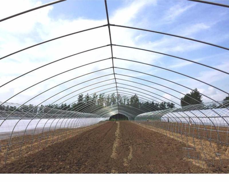 蔬菜大棚种植大棚大棚骨架规格齐全厂家直销