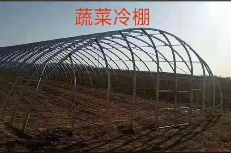 蔬菜大棚种植大棚大棚骨架规格齐全厂家直销