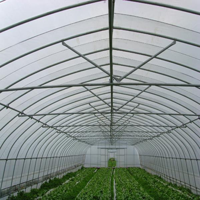 蔬菜大棚种植大棚大棚骨架规格齐全厂家直销