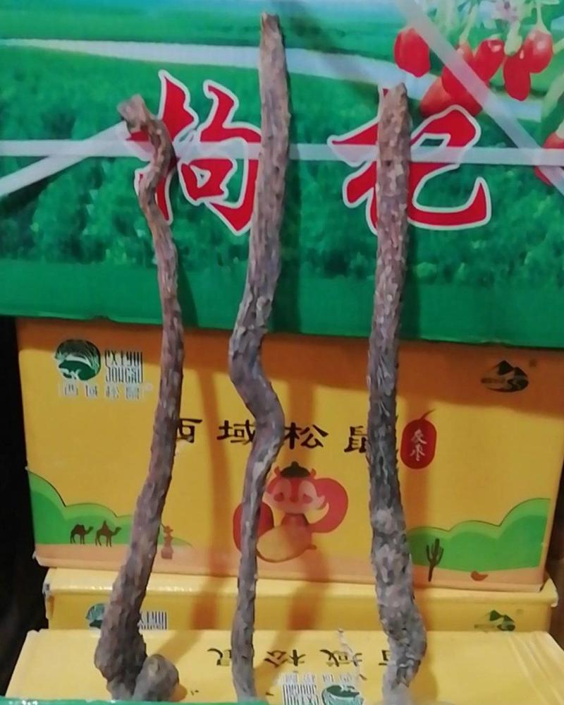 新疆纯野生～软质～肉苁蓉，长35厘米左右，一斤起发货