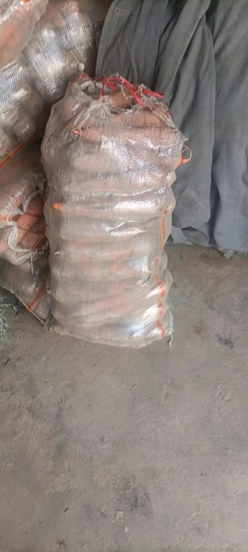 胡萝卜，个头匀称，新鲜脆甜