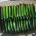 小黄瓜