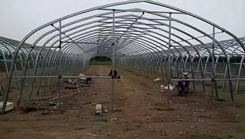 养殖大棚可养殖（猪养牛鸡等）包塑材料使用寿命长