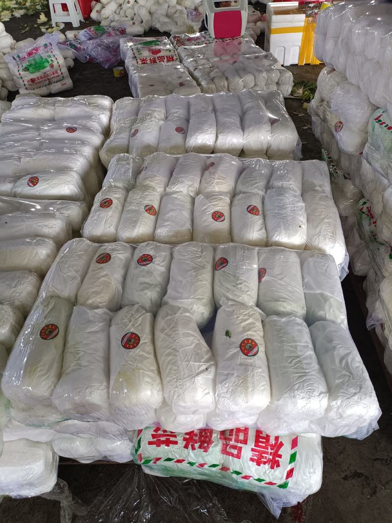 精品娃娃菜，产地直供，一手货源量大从优欢迎采购