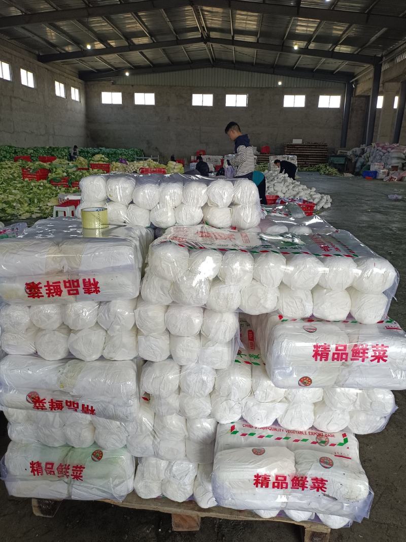 精品娃娃菜，产地直供，一手货源量大从优欢迎采购