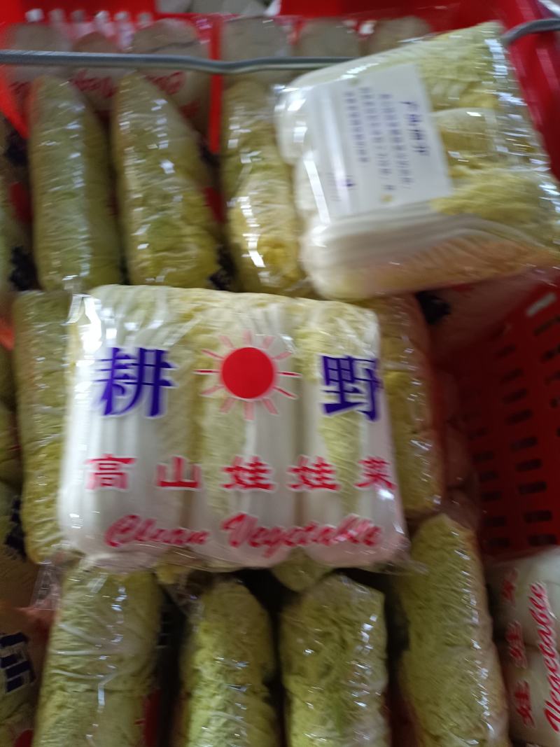 精品娃娃菜，产地直供，一手货源量大从优欢迎采购