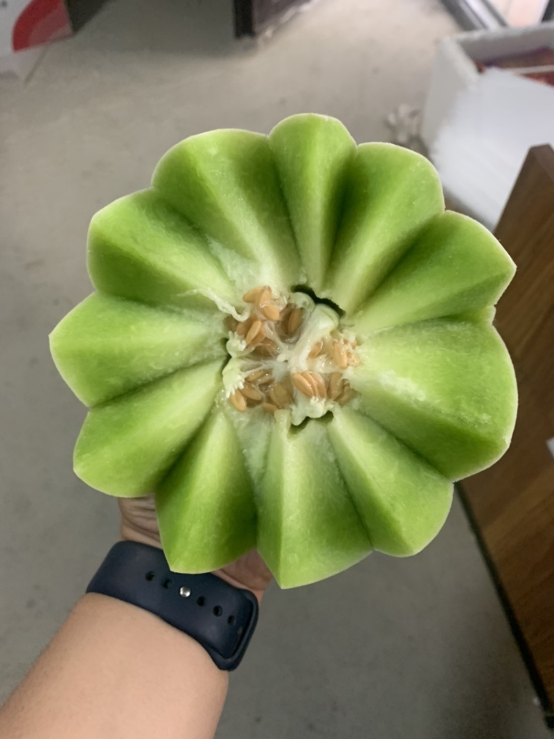 玉菇香瓜甜瓜对接电商供应链商超市场档口优质货源
