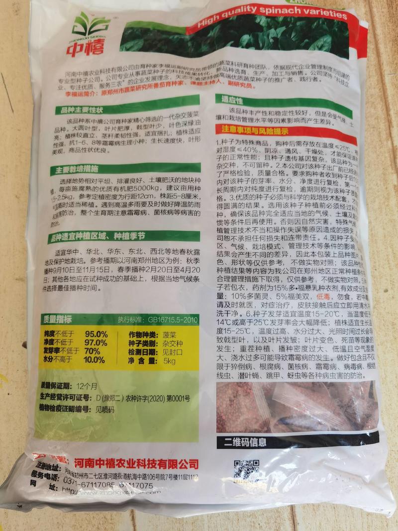 河南郑州菠菜种子澳禧叶片丰厚叶色深绿油亮抗生理小种生长快