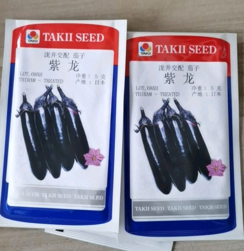 泷井交配紫龙茄子种子烧烤茄子种子越冬早春大棚春秋露地