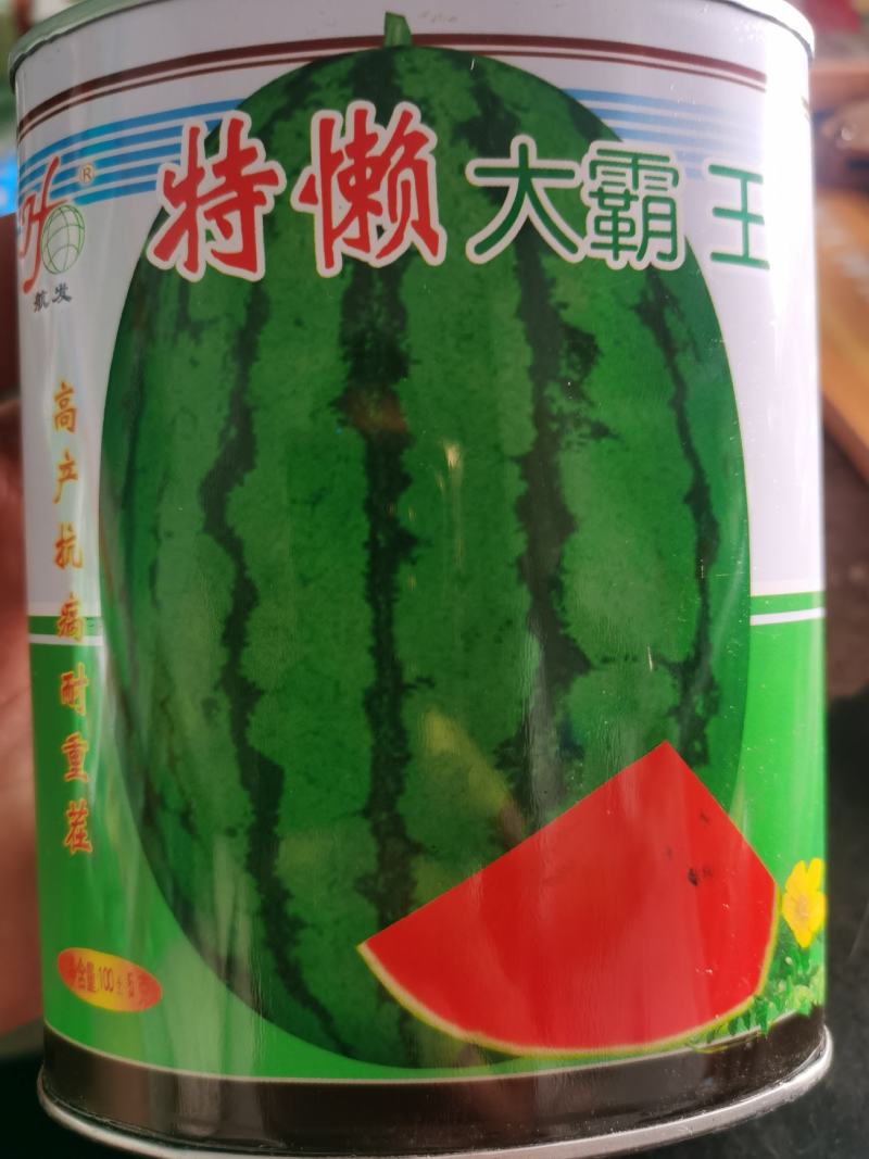特懒大霸王西瓜种子省工省时抗性好耐重茬沙甜抗裂