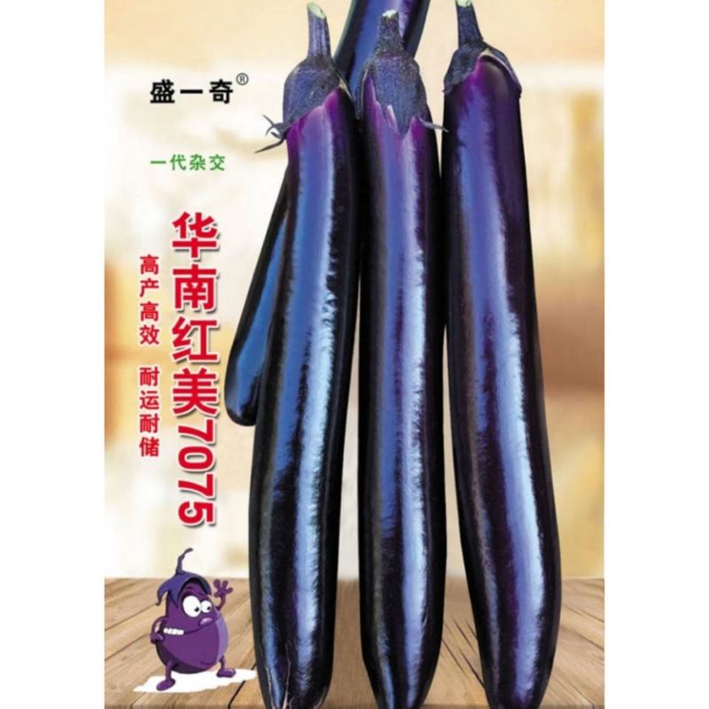 华南红美7075紫红长茄种子菜种子蔬菜种子茄子种子批发