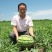 特懒大霸王西瓜种子省工省时抗性好耐重茬沙甜抗裂