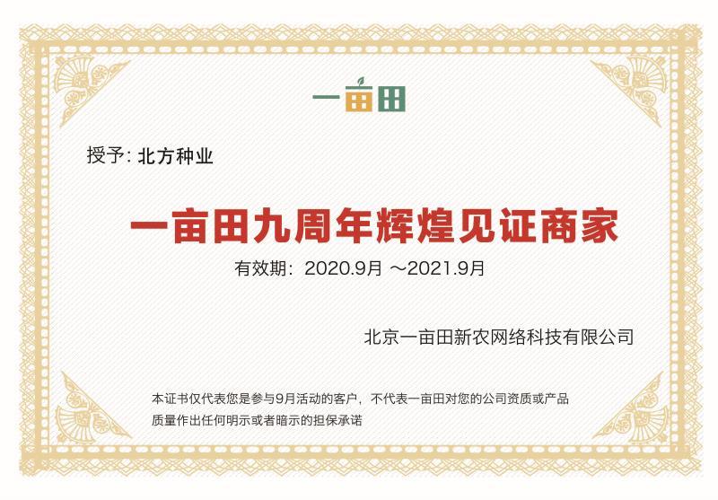 特懒大霸王西瓜种子省工省时抗性好耐重茬沙甜抗裂