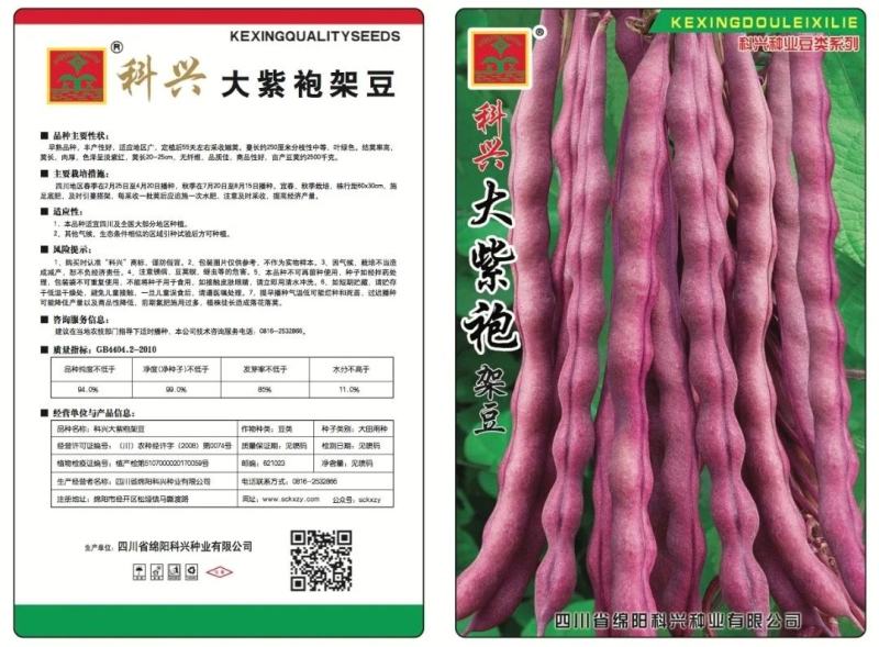 【厂家直销】紫红架豆种子豆角种籽大紫袍四季豆菜豆种子