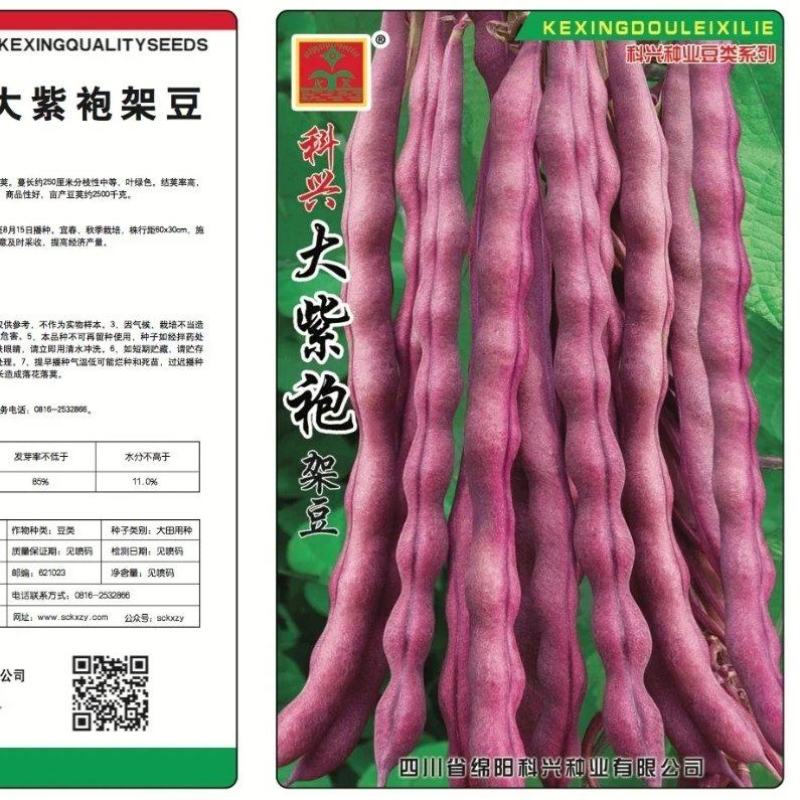 【厂家直销】紫红架豆种子豆角种籽大紫袍四季豆菜豆种子