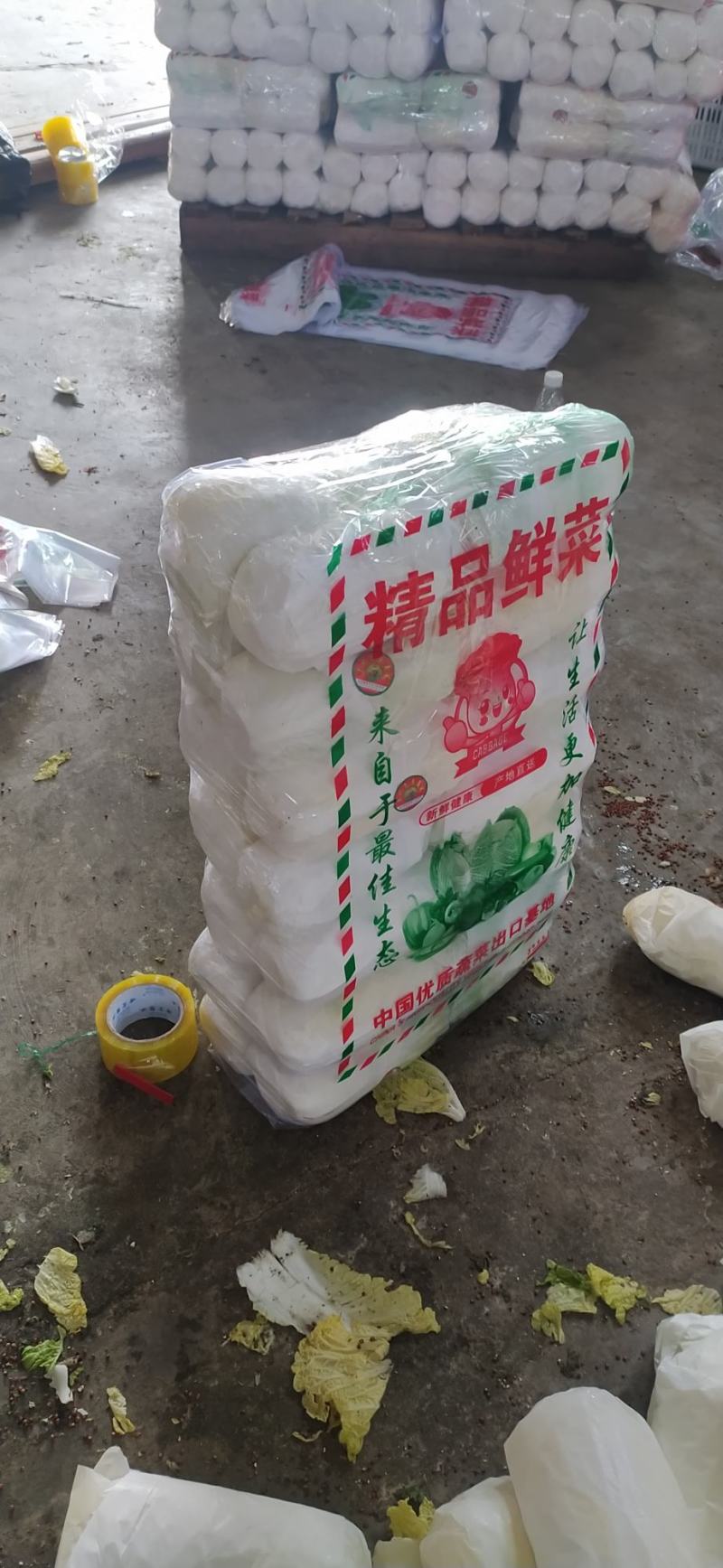 精品娃娃菜，大娃小娃，支持各种包装，打冷，一条龙服务