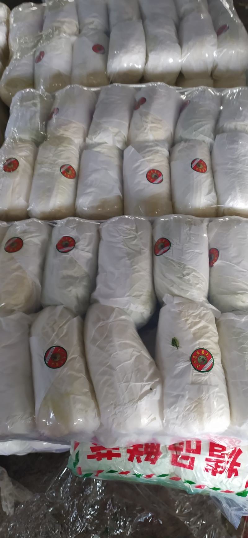 精品娃娃菜，大娃小娃，支持各种包装，打冷，一条龙服务